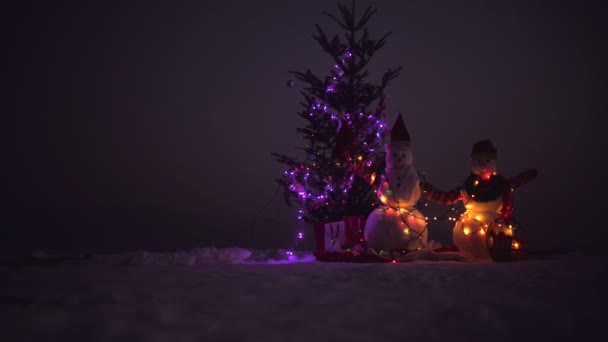 Uomo delle nevi con regalo di Natale sulla neve. Due pupazzi di neve in piedi in inverno paesaggio di Natale — Video Stock