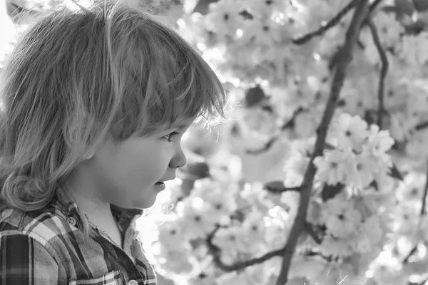 çiçekli ağaçlar çocuk. Küçük çocuk çiçeği