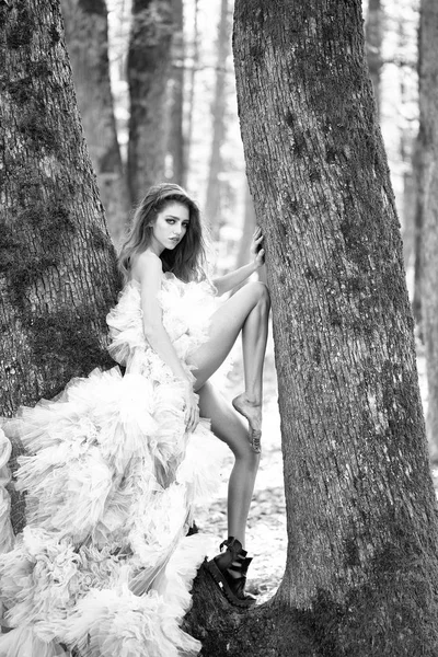 公園のウェディング ドレスの女の子。グラマー女性の木の近く — ストック写真