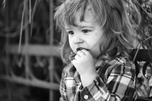 L'enfant mange un cookie. Petit garçon extérieur — Photo