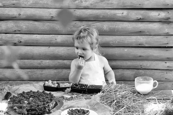Vakantie op het platteland. Schattige kleine jongen eet bessen — Stockfoto