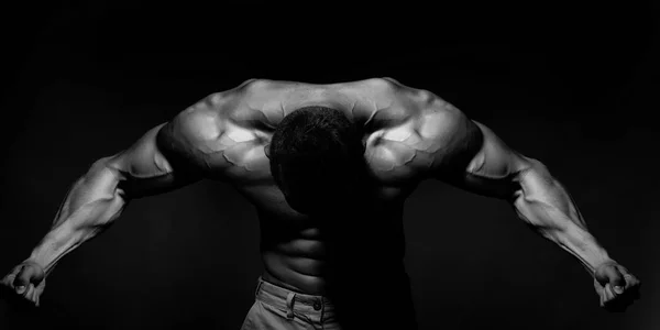 Mountain of muscles. Muscular man with sexy body Stock Picture