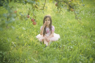 Gıda, meyve, vitamin