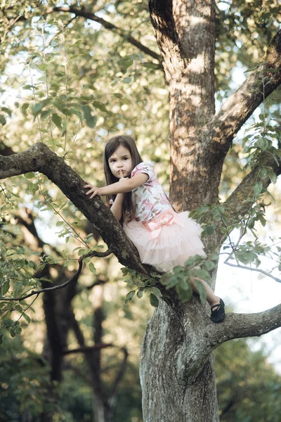 Activity, little girl climb tree in summer garden — Stock Photo, Image
