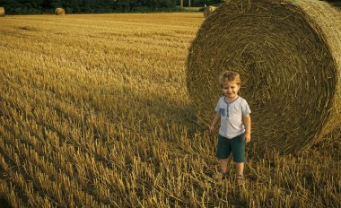 Eko turizm. Sevimli küçük çocuk çocuk buğday alanında