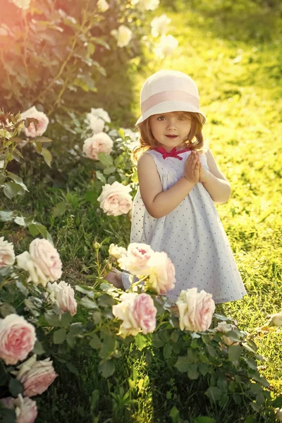 Kis lány imádkozott Istenhez. Gyermek állandó a virágzó Rózsa virágok, a zöld fű — Stock Fotó