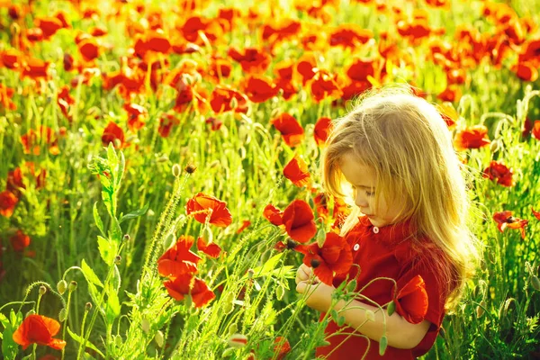 День матери концепции. ребенок или маленький мальчик в поле маковых семян — стоковое фото
