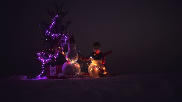 Gelukkig nieuw jaar met sneeuwpop. Snowmans gelukkige paar. Viering van de Snowmans. Prettige kerstdagen en gelukkig Nieuwjaar. Gelukkig sneeuwpop permanent in de winter kerst landschap — Stockvideo