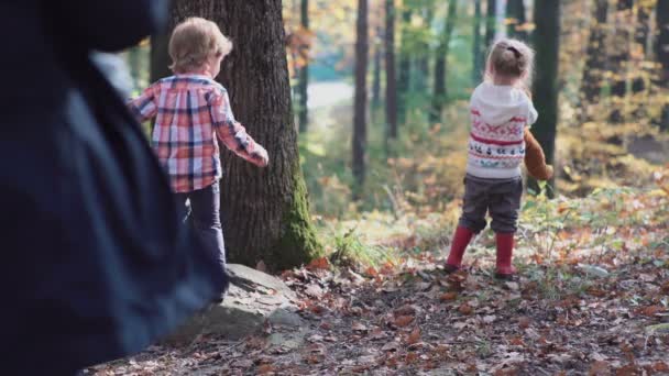 Primer amor. Niños en el bosque. Niños en el bosque. Chica y niño jugando en el bosque. Otoño. Niños felices caminando en el bosque . — Vídeo de stock