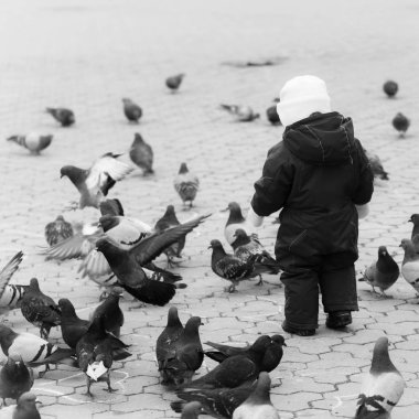 Çocuk güvercinler beslenir. Kırmızı sıcak genel olarak güvercinler ile yürüyen çocuk