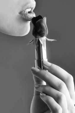 nazik gül kadın elinde. kırmızı gül ruj ile eller