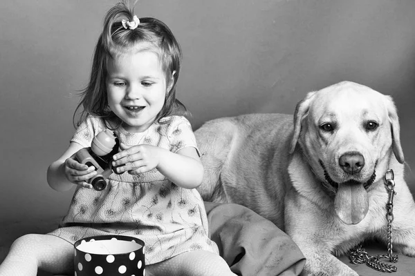 Enfant joue avec le chien. petite fille avec chien labrador — Photo