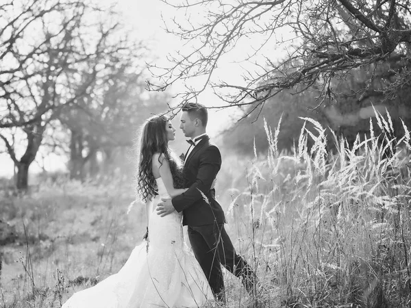 Güzel düğün çifti. Düğün iki açık yürüyor