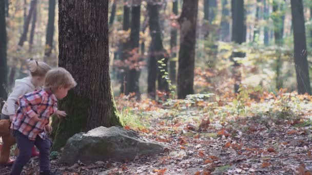 Un niño y una niña en la naturaleza, bosques, bosques. Familia feliz paseando con el perro en el bosque. Feliz niña se divierten jugando con hojas doradas caídas — Vídeos de Stock