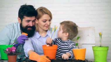 Aile bitki çiçek tencere. Aile birlikte bahçe. Güneşli bir günde Bahçe mutlu bir aile. Aile ile büyük zaman.