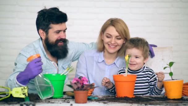 家族は、鉢に花を植えます。家族一緒にガーデニングします。幸せな家族は、晴れた日にガーデニングします。家族が鍋に一緒に植えられている花を注ぐ. — ストック動画