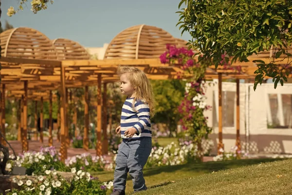Ребенок в цветочном саду. Мальчик прогуливается по саду с цветущими цветами — стоковое фото