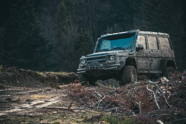 Smutsiga offroad bil med mörka skogen på bakgrund, oskärpa. — Stockfoto