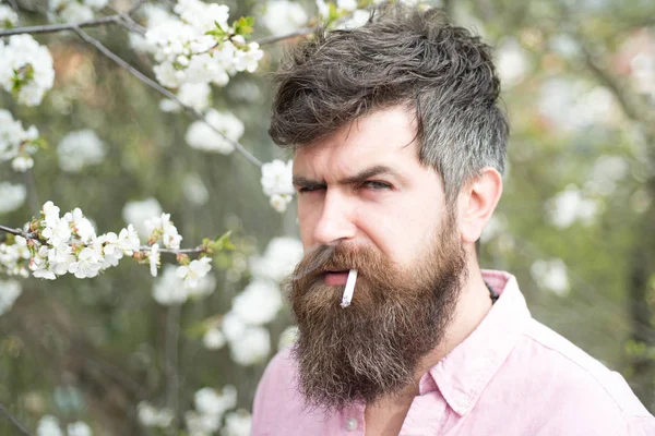 Sigara içmek için mola. Sakallı adam sigara. Sakal ve sigara olan adam. Kuaför Salonu. Hipster bağımlısı çiçek açması ağaçlar sakin ol. Kötü alışkanlık ve bağımlılığı
