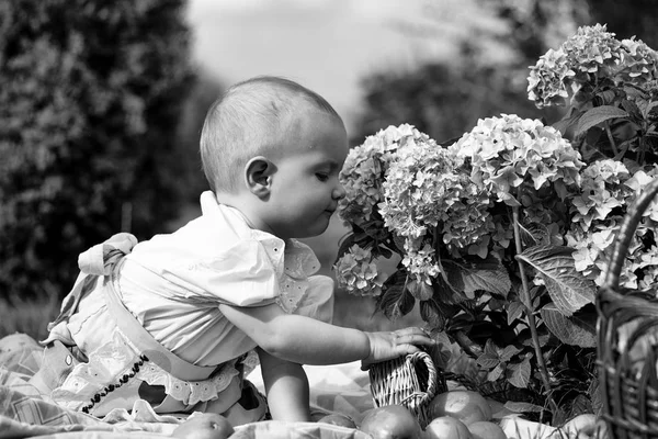 Un niño pequeño está olfateando flores. Bebé niña en el picnic — Foto de Stock