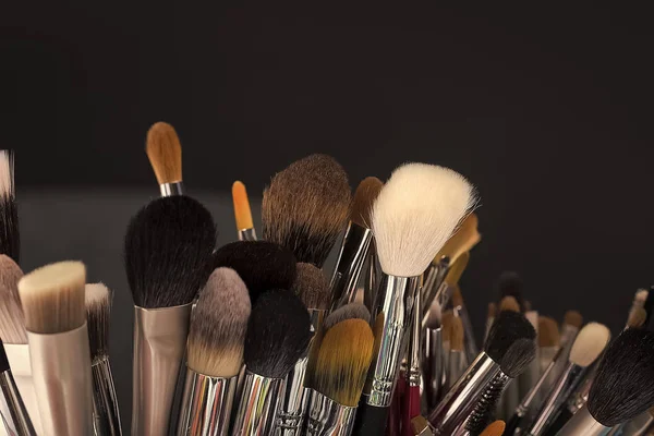 Makeup artist tools. Set of make-up brushes — Stock Photo, Image