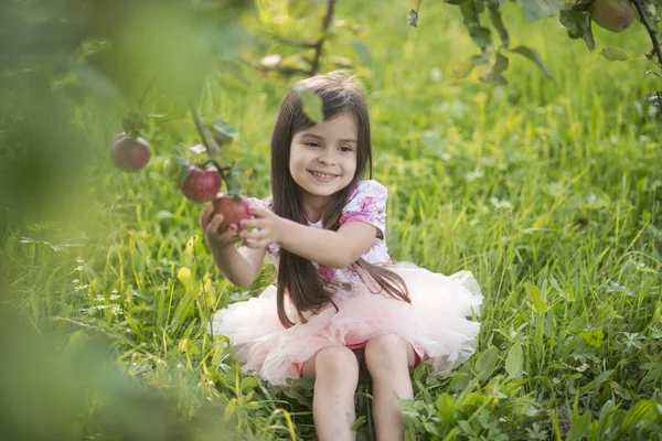 Tazelik, taze meyve gıda