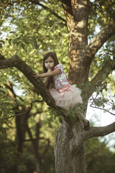 Child climb tree branch in summer garden, secret or silence