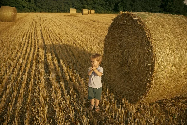 çiftlikte hasat. Bebek Çocuk saman rulo