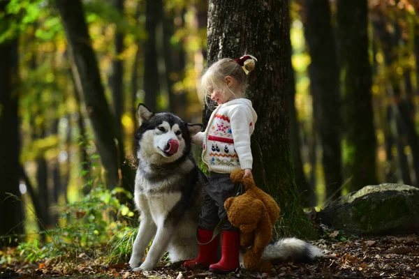 Sonbaharda büyük köpek ormandaki oynamaktan mutlu küçük kız