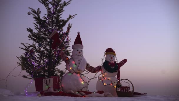 Merry christmas and happy new year. Two cheerful snowman standing in winter christmas landscape — Stock Video