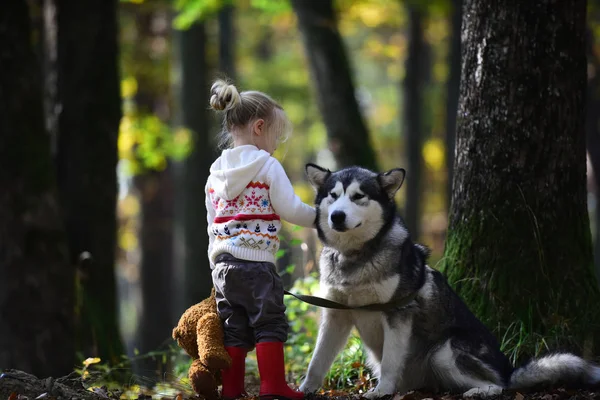 Маленька дівчинка грає з собакою в осінньому лісі — стокове фото