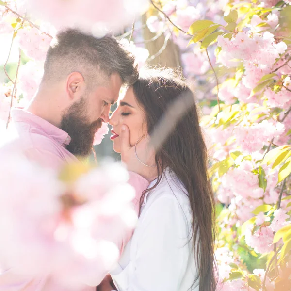 Всего один поцелуй. Бородатый мужчина обнимает чувственную женщину. Влюбленная пара среди цветущих деревьев. День святого Валентина концепция. Желание и романтика. Весна это время любви. — стоковое фото