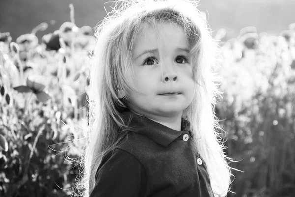 Chico feliz divirtiéndose. retrato de lindo niño en el campo de amapola en veranos calurosos —  Fotos de Stock