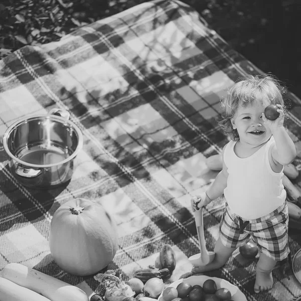 Liten pojke på picknick — Stockfoto