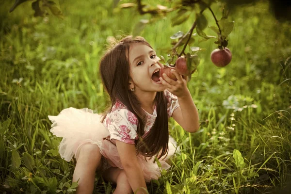 Kind genießt die Gaben der Natur. Kind isst Apfel vom Apfelbaum — Stockfoto