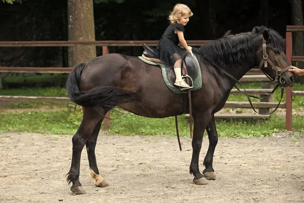 Tapferes kleines Mädchen auf einem Pferd. Mädchen reitet an einem Sommertag auf dem Pferd — Stockfoto