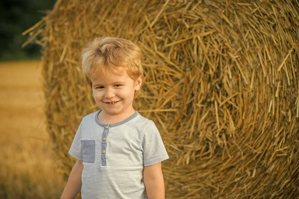 child is in the hayloft. Little boy smile at hay bale, summer