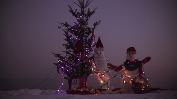 Gott nytt år med snögubbe. Snowmans lyckliga paret. Snowmans firande. God jul och gott nytt år. Glad snögubbe stående i vinter jul landskap — Stockvideo