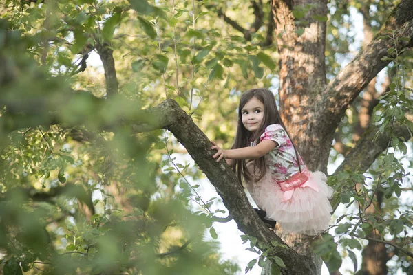 Pequena menina subiu na árvore — Fotografia de Stock