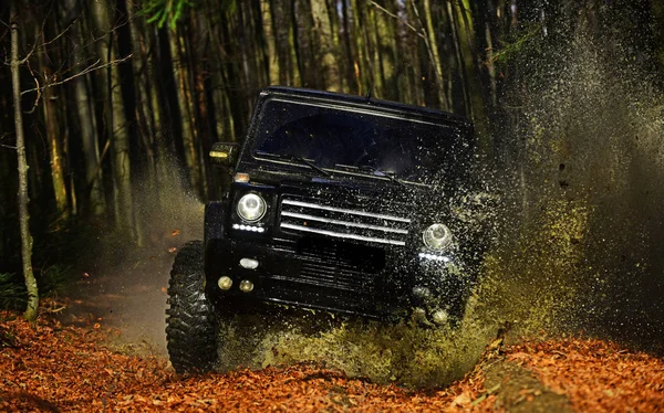 SUV o fuoristrada su sentiero coperto di foglie che attraversano pozzanghera con spruzzi d'acqua sporca. Offroad gara su sfondo autunno natura Car racing nella foresta autunnale. Estremo, sfida e 4x4 concetto di veicolo — Foto Stock