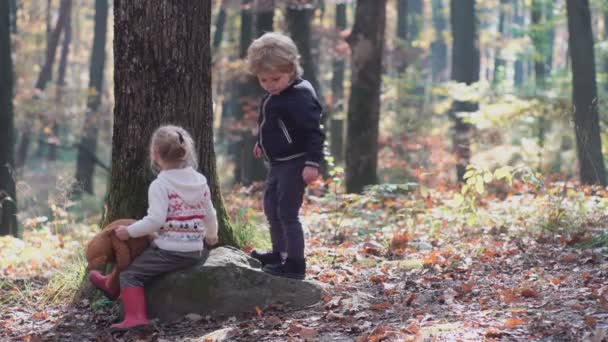 Gelukkig klein kind, baby meisje lachen en spelen in de herfst op de natuur wandeling buiten. — Stockvideo