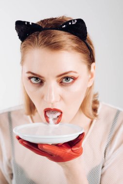 Ekoloji ürün ve heath. Kedi kadın ye ekşi krema. Seksi kedi kadın yalamak süt plaka. Yiyecek ve içecek. Yavru kedi kulakları ve kırmızı üzerine beyaz izole yoğurt eldivenlerle kız. Diyet ve sağlık.