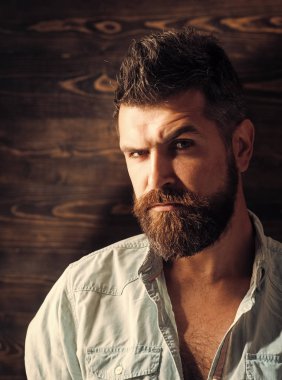 Kuaför Salonu. Moda ve adam ağaran erkek güzellik. Berber ve Kuaför Salonu. Sakal ve bıyık ahşap arka plan üzerinde olan adam. Ciddi hipster berber dükkanı şarkısı, bak. Sakallı adamın saç kesimi