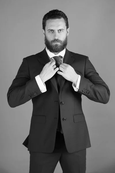 Servicios legales. hombre, hombre de negocios guapo barbudo en chaqueta formal, corbata — Foto de Stock