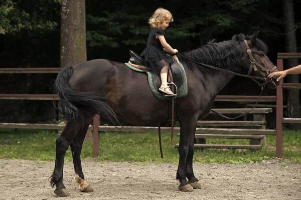 Equine therapy. Girl ride on horse on summer day