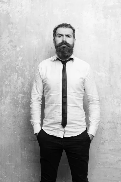 Trabalhador de escritório. homem barbudo ou hipster com barba longa no rosto sério — Fotografia de Stock