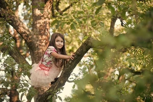 Kız doğa eğitimi alıyor. Küçük genç kız ağaca tırmandı — Stok fotoğraf