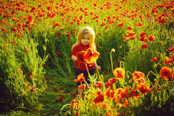 快乐的孩子。可爱的小男孩在罂粟场在炎热的夏天 — 图库照片