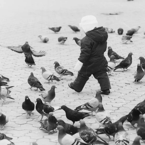 Flock of birds. Kid walking in red warm overall with pigeons — Stock Photo, Image