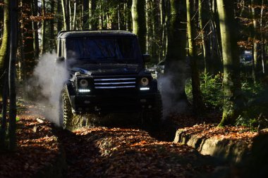 Offroad yarış Sonbahar Doğa arka plan üzerinde. SUV bulut duman motor sonbahar ormanda yarış ile siyah renkte. Aşırı, rekabet ve dört tekerlekli sürücü araç konsepti